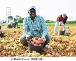 User Value: Farmers can ask