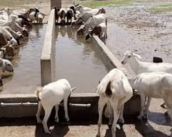 I’m going back in a few