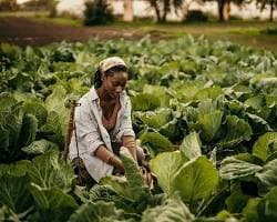 The only way I could be sure